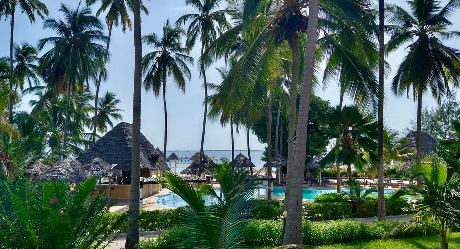 Voorbeeldaccommodatie Zanzibar Paradise Beach palmbomen